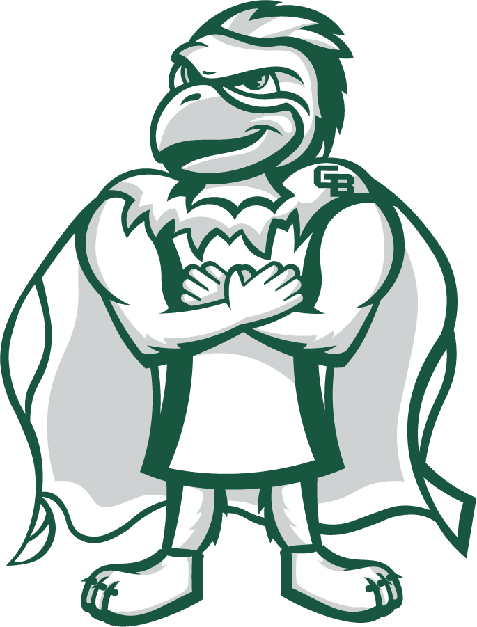 Wisconsin-Green Bay Phoenix 2020-Pres Mascot Logo diy iron on heat transfer